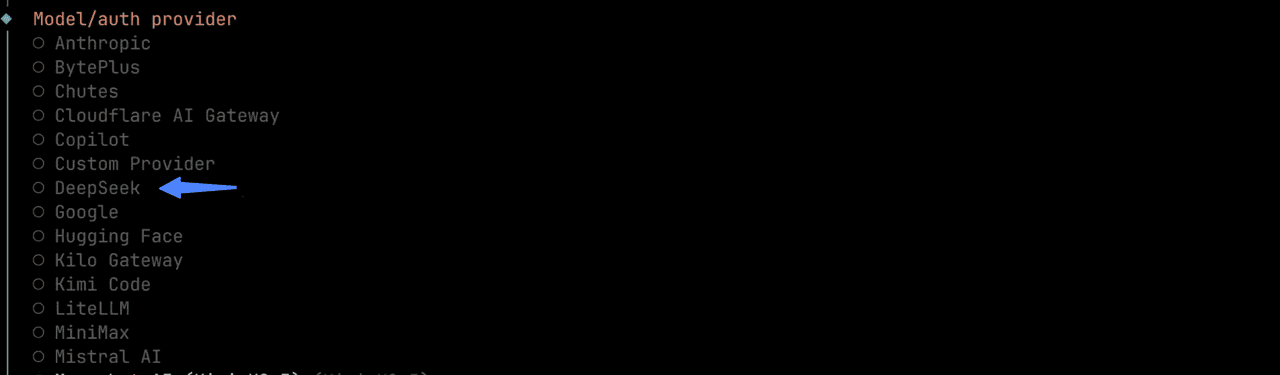 OpenClaw provider list with an API key prompt